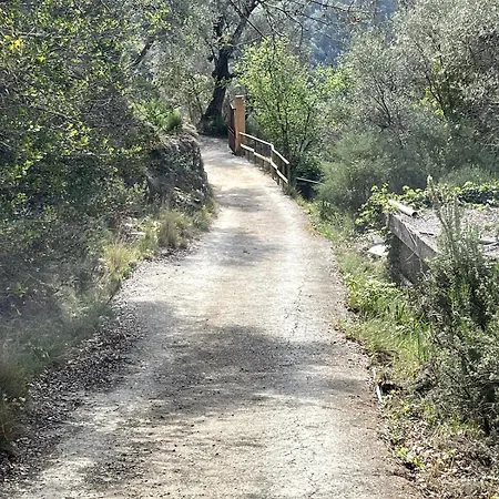 Beautiful With Pool: 8 Pers Isolabona