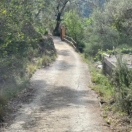 Beautiful With Pool: 8 Pers